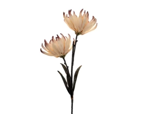 Διακοσμητικό λουλούδι Idea Home 45843